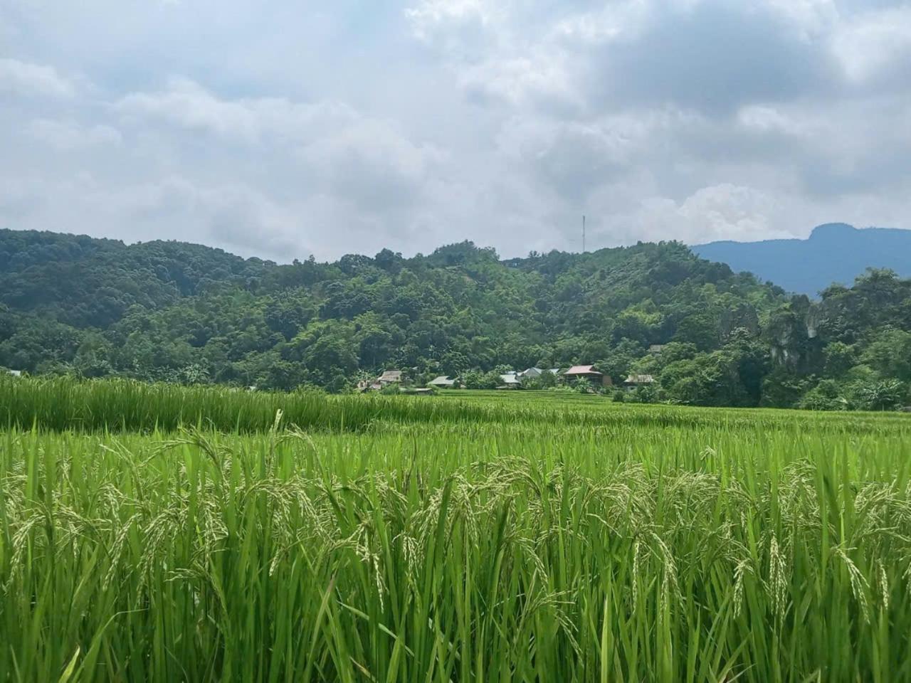 Mai Chau Horizon Homestay Buitenkant foto